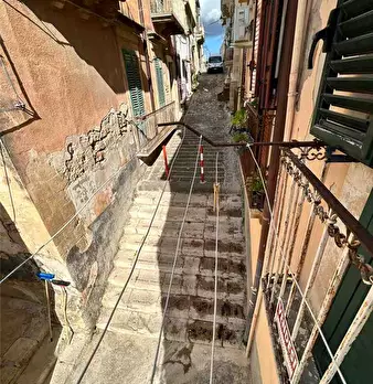 Foto annuncio 12