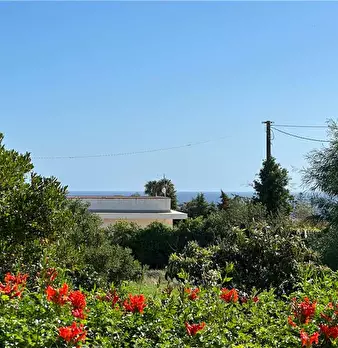 Foto annuncio 13