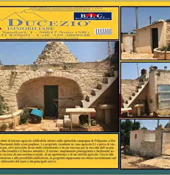Foto annuncio 1