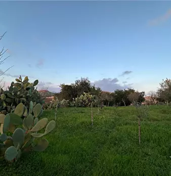 Foto annuncio 5