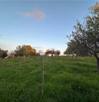 Foto annuncio 8