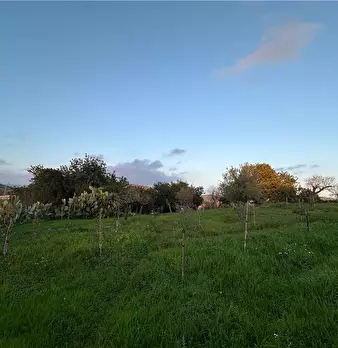 Foto annuncio 9