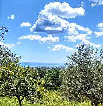 Foto annuncio 2