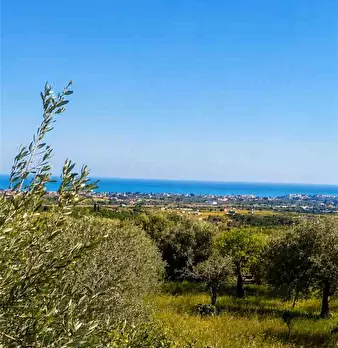 Foto annuncio 5