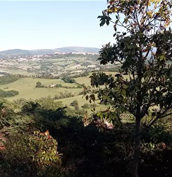 Foto annuncio 1