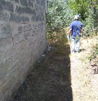 Foto annuncio 5