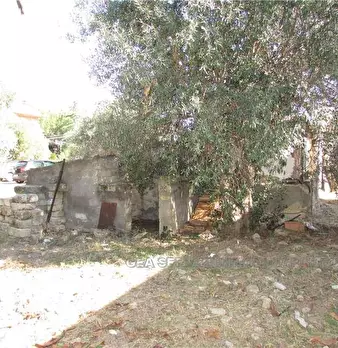 Foto annuncio 11