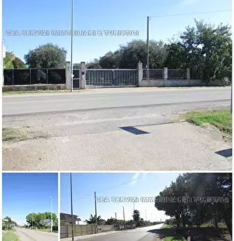 Foto annuncio 4