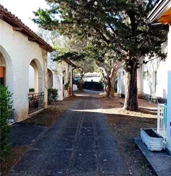 Foto annuncio 10