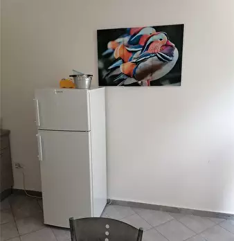 Foto annuncio 8