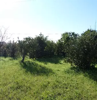 Foto annuncio 4