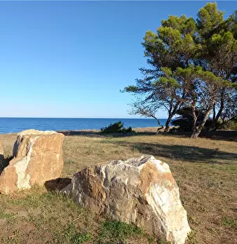 Foto annuncio 12