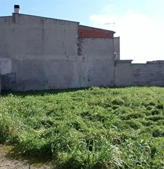Foto annuncio 3