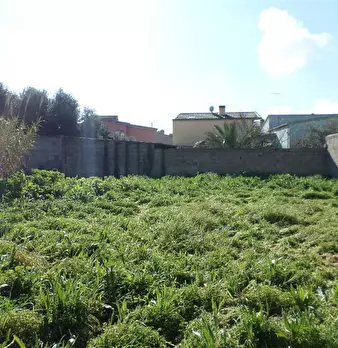 Foto annuncio 5