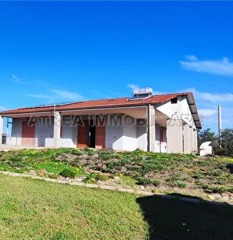 Foto annuncio 1