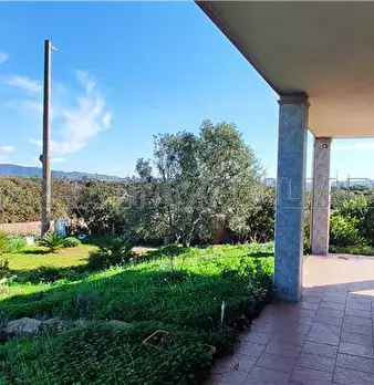 Foto annuncio 10