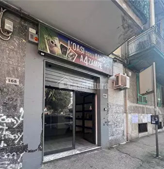 Foto annuncio 7