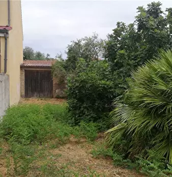 Foto annuncio 12