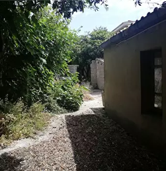 Foto annuncio 9