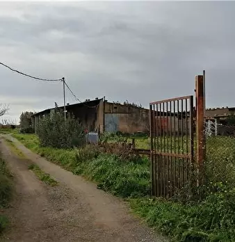 Foto annuncio 3