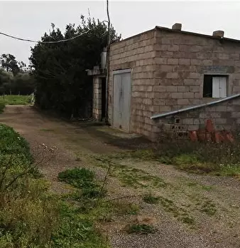 Foto annuncio 5