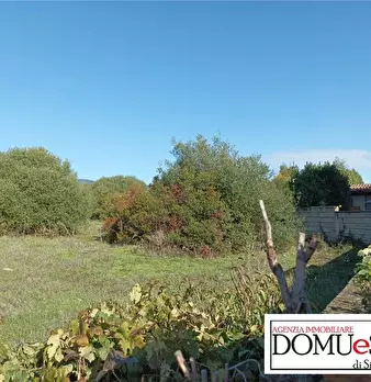 Foto annuncio 3