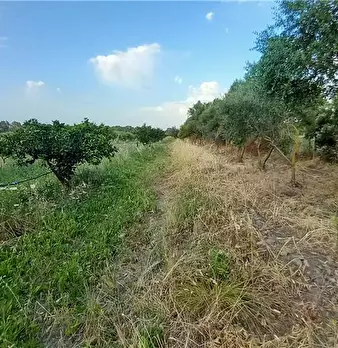 Foto annuncio 11