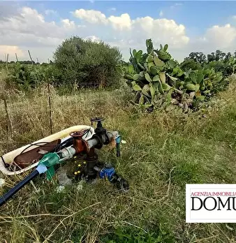 Foto annuncio 5
