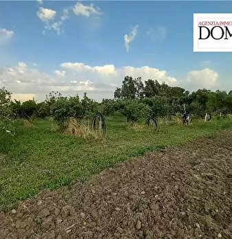 Foto annuncio 6
