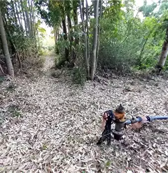 Foto annuncio 9
