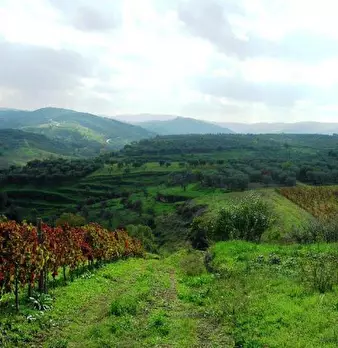 Foto annuncio 3
