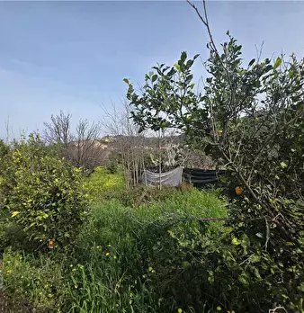 Foto annuncio 4