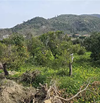 Foto annuncio 7