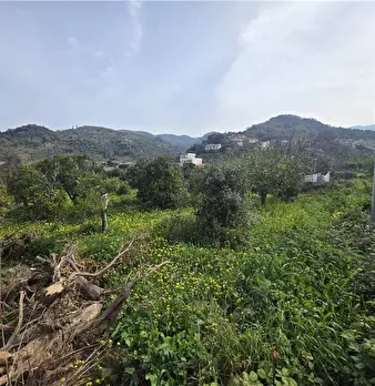 Foto annuncio 8