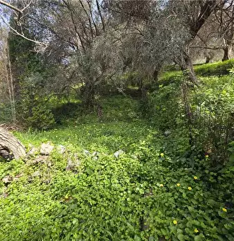 Foto annuncio 20