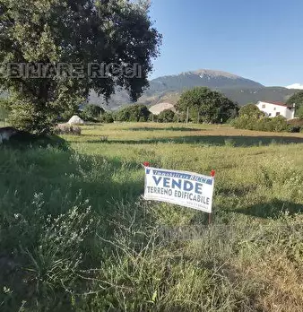 Foto annuncio 7