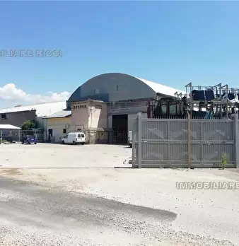 Foto annuncio 8