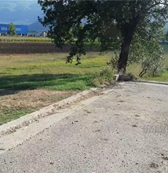 Foto annuncio 6
