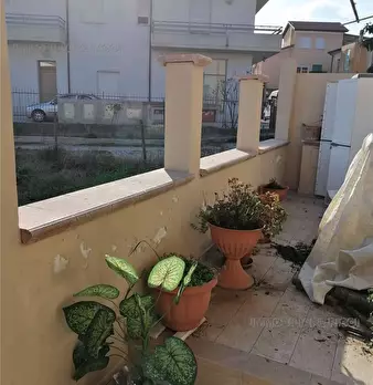Foto annuncio 10