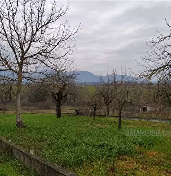 Foto annuncio 15