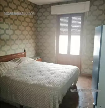 Foto annuncio 12