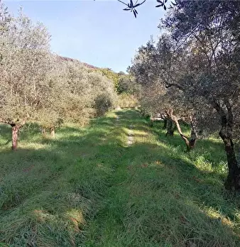 Foto annuncio 6