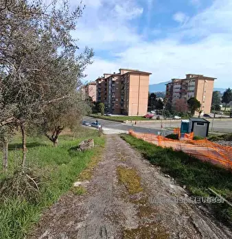 Foto annuncio 11