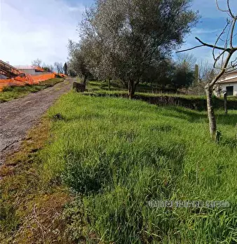 Foto annuncio 13
