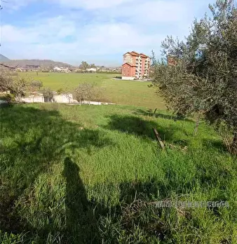 Foto annuncio 14