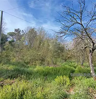Foto annuncio 15