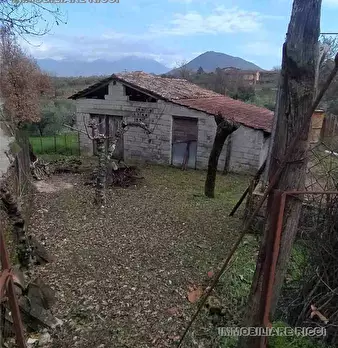 Foto annuncio 20