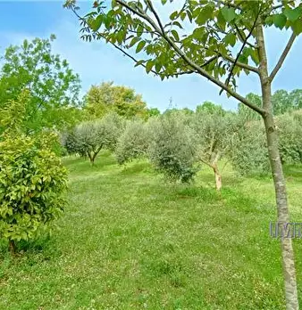 Foto annuncio 16