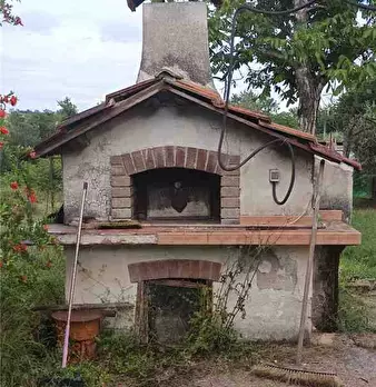 Foto annuncio 10