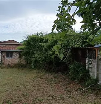 Foto annuncio 11
